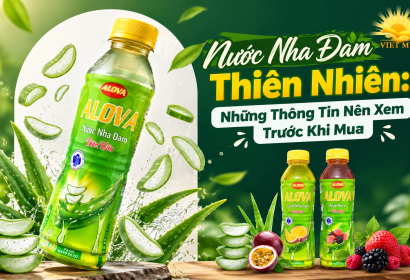 Nước Nha Đam Thiên Nhiên: Những Thông Tin Nên Xem Trước Khi Mua